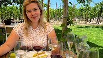 From Rome: Pompeii Ruins, Vesuvius Views & Vineyard Lunch!