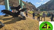 Cochahuasi Animal Sanctuary Admission Ticket