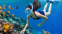 Bali Snorkeling Blue Lagoon Beach Include Lunch & Transport