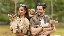  Lion Land Phuket Entry Ticket with Private Hotel Transfer