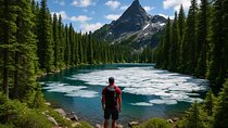 Dease Lake Alpine Trail Hike