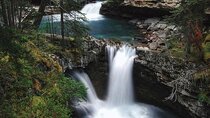 Johnston Canyon Walk & Banff Highlights & Wild Life Tour