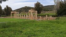 Walk with the Gods: Artemis and Poseidon Private Tour