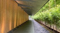 The Art of Beauty in Omotesando's Nezu Garden and Beni Museum