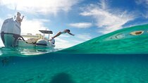 Zadar: Dugi Otok Island - 2x Snorkeling & Sandy Beach - 7 hr