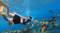  Bali Blue Lagoon Snorkeling with All - Inclusive Tour