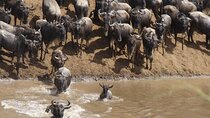 3 Day Masai Mara Escape