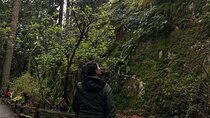 Whytecliff Park Indigenous Salish Sea Walking Tour 
