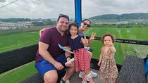 Free style private Tour(Essence of Seoul city or DMZ)