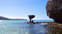 La Paz Paradise: Balandra & beyond