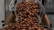 Fine Chocolate Tour in Costa Rica