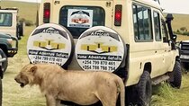 Adventure-fueled 3 Days Maasai Mara Safari