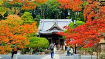 Izu Moa Art Museum Sky Trail Shuzenji Onsen Hot Spring 2-Day Tour