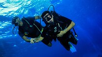 Marsa Mubarak Snorkeling Trip, 2 intro dive & Transfer–Marsa Alam