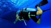 PADI Open Water Diver Course, Learn New Diving Skills -Marsa Alam