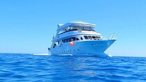 Beginners Scuba Diving Boat Trip With Equipment & lunch -Hurghada