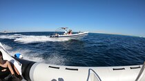 Hula Hula Island Private Speedboat Tour with Snorkeling