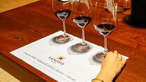 The history of Amarone: tour and vertical tasting of 3 decades
