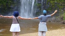 Wli Waterfall and Tafi Atome Monkey Sanctuary Day Tour