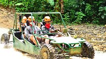Halfd Day Zipline Buggie and Horse /Cocoa Farms