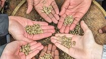 Materuni Waterfalls and Coffee Tour from Arusha