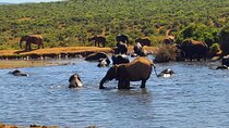 Cape Town All-Inclusive 6 Day Luxury Retreat