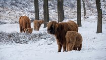 3 Day Tour of Isle of Skye, Glencoe, Inverness and Loch Ness