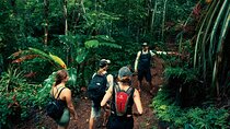 Jaco Waterfall Tour