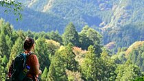 Okutama Forest Therapy Shinrin-yoku Tour with Lunch Options