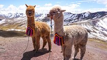 Prívate Tour from Cusco Palcoyo Rainbow Mountain Day Tour 