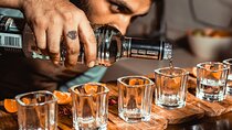 Private Mezcal and Tequila Tasting in Tulum
