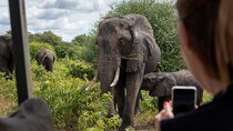 Experience Chobe Day Trip Tour