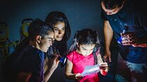 Zombie Bite Escape Room Experiences