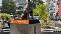 Discover Shibuya Culture and Street Life with a Local Guide