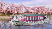Tokyo Cherry Blossom Dinner Cruise With Traditional Show & Drinks
