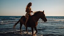Horse Riding in Nabq Bay beach 1 Hour W/Transfer -Sharm El Sheikh