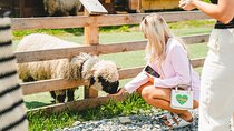 Krakow: Zakopane Tour - Gubałówka & Thermal Pools Options