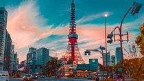 Luxury Tokyo Tour – Private Car, Custom Itinerary, Local Insights