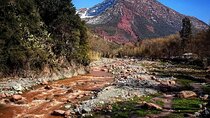 Experience Nature and Culture at Ourika Valley Tour