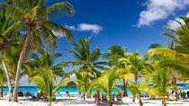  Beautiful Saona Island
