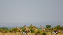 One-Day Motorbike Adventure