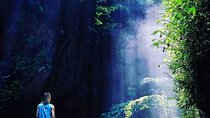 Explore Ubud Art Market, Monkey Forest and Rice Terraces