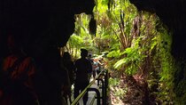 The Real Big Island: Volcanoes, Waterfalls, Beaches & Lunch