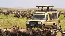 Valentine's Safari and Zanzibar Beach Getaway 2026