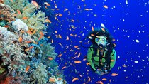 Advanced PADI Open Water Diving Course & Transfers – Marsa Alam