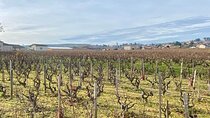 From Lyon: Full-Day Private Tour of Beaujolais