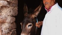Secret Valley Tour with Home Cooked Berber Lunch