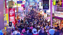 Tokyo Private Tour with an English speaking driver 