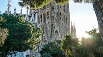 Barcelona: Full Day Guided City Tour on Local Transport