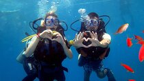 Advanced Diving Course in Stunning Red Sea - Sharm El Sheikh